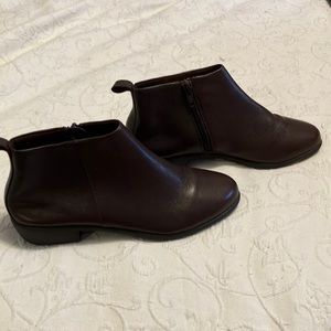 Dark brown aerosols ankle booties